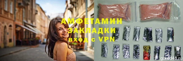 соль ск Дмитров