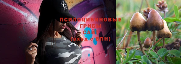 молекула духа Елабуга