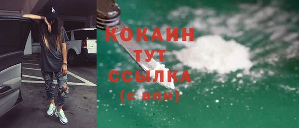 соль ск Дмитров