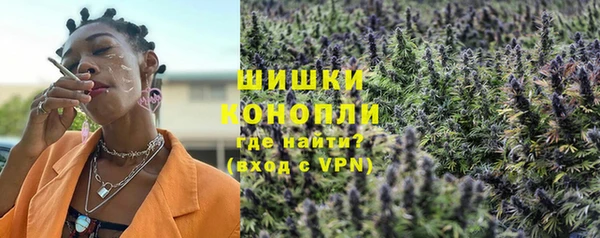 молекула духа Елабуга