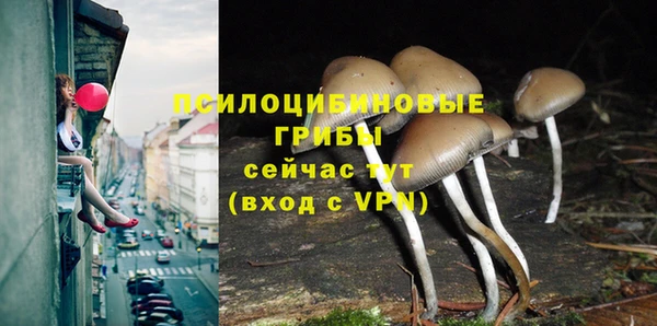 прущая мука Дмитриев