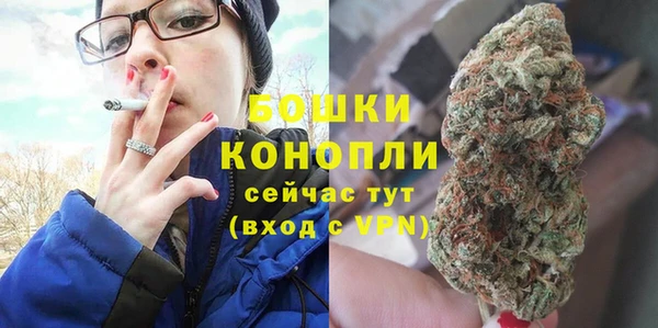молекула духа Елабуга